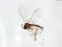  ( - TSZD-JKJ-103762)  @11 [ ] CreativeCommons - Attribution Non-Commercial Share-Alike (2017) Unspecified Tromsø University Museum