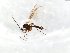  ( - TSZD-JKJ-103801)  @11 [ ] CreativeCommons - Attribution Non-Commercial Share-Alike (2017) Unspecified Tromsø University Museum