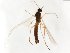  ( - TSZD-JKJ-103815)  @11 [ ] CreativeCommons - Attribution Non-Commercial Share-Alike (2017) Unspecified Tromsø University Museum