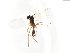  ( - TSZD-JKJ-103897)  @12 [ ] CreativeCommons - Attribution Non-Commercial Share-Alike (2017) Unspecified Tromsø University Museum