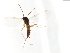  ( - TSZD-JKJ-103897)  @12 [ ] CreativeCommons - Attribution Non-Commercial Share-Alike (2017) Unspecified Tromsø University Museum