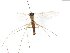  ( - TSZD-JKJ-103926)  @13 [ ] CreativeCommons - Attribution Non-Commercial Share-Alike (2017) Unspecified Tromsø University Museum