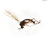  ( - TSZD-JKJ-103994)  @11 [ ] CreativeCommons - Attribution Non-Commercial Share-Alike (2017) Unspecified Tromsø University Museum