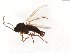  ( - TSZD-JKJ-104022)  @11 [ ] CreativeCommons - Attribution Non-Commercial Share-Alike (2017) Unspecified Tromsø University Museum
