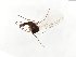 ( - TSZD-JKJ-104043)  @11 [ ] CreativeCommons - Attribution Non-Commercial Share-Alike (2017) Unspecified Tromsø University Museum