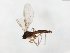 ( - TSZD-JKJ-104057)  @13 [ ] CreativeCommons - Attribution Non-Commercial Share-Alike (2017) Unspecified Tromsø University Museum