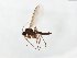  ( - TSZD-JKJ-104074)  @13 [ ] CreativeCommons - Attribution Non-Commercial Share-Alike (2017) Unspecified Tromsø University Museum
