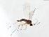  ( - TSZD-JKJ-104075)  @11 [ ] CreativeCommons - Attribution Non-Commercial Share-Alike (2017) Unspecified Tromsø University Museum