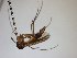  ( - TSZD-JKJ-104154)  @11 [ ] CreativeCommons - Attribution Non-Commercial Share-Alike (2018) Unspecified Tromsø University Museum