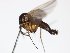  ( - TSZD-JKJ-104155)  @13 [ ] CreativeCommons - Attribution Non-Commercial Share-Alike (2018) Unspecified Tromsø University Museum