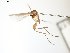  ( - TSZD-JKJ-104157)  @12 [ ] CreativeCommons - Attribution Non-Commercial Share-Alike (2018) Unspecified Tromsø University Museum