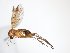  ( - TSZD-JKJ-104169)  @11 [ ] CreativeCommons - Attribution Non-Commercial Share-Alike (2018) Unspecified Tromsø University Museum