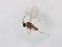  ( - TSZD-JKJ-104333)  @11 [ ] CreativeCommons - Attribution Non-Commercial Share-Alike (2018) Unspecified Tromsø University Museum