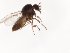  ( - TSZD-JKJ-104336)  @11 [ ] CreativeCommons - Attribution Non-Commercial Share-Alike (2018) Unspecified Tromsø University Museum