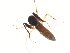  ( - TSZD-JKJ-104341)  @11 [ ] CreativeCommons - Attribution Non-Commercial Share-Alike (2018) Unspecified Tromsø University Museum