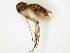  ( - TSZD-JKJ-104353)  @11 [ ] CreativeCommons - Attribution Non-Commercial Share-Alike (2018) Unspecified Tromsø University Museum