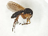 ( - TSZD-JKJ-104355)  @12 [ ] CreativeCommons - Attribution Non-Commercial Share-Alike (2018) Unspecified Tromsø University Museum