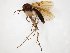  ( - TSZD-JKJ-104366)  @14 [ ] CreativeCommons - Attribution Non-Commercial Share-Alike (2018) Unspecified Tromsø University Museum