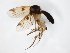  ( - TSZD-JKJ-104381)  @11 [ ] CreativeCommons - Attribution Non-Commercial Share-Alike (2018) Unspecified Tromsø University Museum
