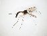  ( - TSZD-JKJ-104385)  @11 [ ] CreativeCommons - Attribution Non-Commercial Share-Alike (2018) Unspecified Tromsø University Museum