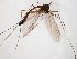  ( - TSZD-JKJ-104404)  @13 [ ] CreativeCommons - Attribution Non-Commercial Share-Alike (2018) Unspecified Tromsø University Museum