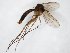  ( - TSZD-JKJ-104412)  @11 [ ] CreativeCommons - Attribution Non-Commercial Share-Alike (2018) Unspecified Tromsø University Museum