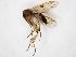  ( - TSZD-JKJ-104422)  @11 [ ] CreativeCommons - Attribution Non-Commercial Share-Alike (2018) Unspecified Tromsø University Museum
