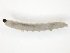  ( - TSZD-JKJ-104506)  @12 [ ] CreativeCommons - Attribution Non-Commercial Share-Alike (2018) Unspecified Tromsø University Museum