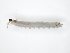 ( - TSZD-JKJ-104507)  @12 [ ] CreativeCommons - Attribution Non-Commercial Share-Alike (2018) Unspecified Tromsø University Museum