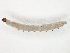  ( - TSZD-JKJ-104522)  @11 [ ] CreativeCommons - Attribution Non-Commercial Share-Alike (2018) Unspecified Tromsø University Museum