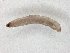  ( - TSZD-JKJ-104555)  @12 [ ] CreativeCommons - Attribution Non-Commercial Share-Alike (2018) Unspecified Tromsø University Museum