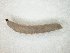  ( - TSZD-JKJ-104566)  @11 [ ] CreativeCommons - Attribution Non-Commercial Share-Alike (2018) Unspecified Tromsø University Museum