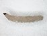  ( - TSZD-JKJ-104574)  @11 [ ] CreativeCommons - Attribution Non-Commercial Share-Alike (2018) Unspecified Tromsø University Museum