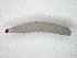  ( - TSZD-JKJ-104578)  @11 [ ] CreativeCommons - Attribution Non-Commercial Share-Alike (2018) Unspecified Tromsø University Museum