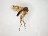  ( - TSZD-JKJ-104689)  @11 [ ] CreativeCommons - Attribution Non-Commercial Share-Alike (2018) Unspecified Tromsø University Museum