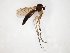  ( - TSZD-JKJ-104690)  @12 [ ] CreativeCommons - Attribution Non-Commercial Share-Alike (2018) Unspecified Tromsø University Museum