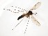  ( - TSZD-JKJ-104693)  @12 [ ] CreativeCommons - Attribution Non-Commercial Share-Alike (2018) Unspecified Tromsø University Museum