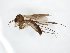  ( - TSZD-JKJ-104698)  @11 [ ] CreativeCommons - Attribution Non-Commercial Share-Alike (2018) Unspecified Tromsø University Museum