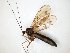  ( - TSZD-JKJ-104712)  @11 [ ] CreativeCommons - Attribution Non-Commercial Share-Alike (2018) Unspecified Tromsø University Museum