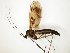  ( - TSZD-JKJ-104722)  @11 [ ] CreativeCommons - Attribution Non-Commercial Share-Alike (2018) Unspecified Tromsø University Museum