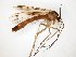  ( - TSZD-JKJ-104732)  @11 [ ] CreativeCommons - Attribution Non-Commercial Share-Alike (2018) Unspecified Tromsø University Museum