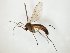  ( - TSZD-JKJ-104734)  @11 [ ] CreativeCommons - Attribution Non-Commercial Share-Alike (2018) Unspecified Tromsø University Museum