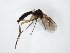  ( - TSZD-JKJ-104735)  @11 [ ] CreativeCommons - Attribution Non-Commercial Share-Alike (2018) Unspecified Tromsø University Museum