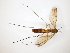  ( - TSZD-JKJ-104743)  @13 [ ] CreativeCommons - Attribution Non-Commercial Share-Alike (2018) Unspecified Tromsø University Museum