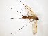  ( - TSZD-JKJ-104743)  @13 [ ] CreativeCommons - Attribution Non-Commercial Share-Alike (2018) Unspecified Tromsø University Museum