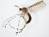 ( - TSZD-JKJ-104748)  @11 [ ] CreativeCommons - Attribution Non-Commercial Share-Alike (2018) Unspecified Tromsø University Museum