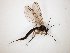  ( - TSZD-JKJ-104757)  @13 [ ] CreativeCommons - Attribution Non-Commercial Share-Alike (2018) Unspecified Tromsø University Museum