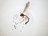  ( - TSZD-JKJ-104766)  @12 [ ] CreativeCommons - Attribution Non-Commercial Share-Alike (2018) Unspecified Tromsø University Museum