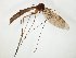  ( - TSZD-JKJ-104770)  @13 [ ] CreativeCommons - Attribution Non-Commercial Share-Alike (2018) Unspecified Tromsø University Museum
