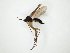  ( - TSZD-JKJ-104772)  @11 [ ] CreativeCommons - Attribution Non-Commercial Share-Alike (2018) Unspecified Tromsø University Museum